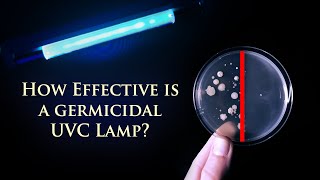 UVC Light or Ozone as a Disinfectant [upl. by Grindlay]