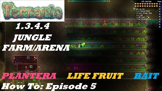 Terraria 1344 HOW TO  Build a HOME Jungle Farm  Plantera Life Fruits Bait  MORE  Episode 5 [upl. by Amis179]