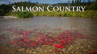 Alaska Salmon Country  Sockeye City [upl. by Sualokin]