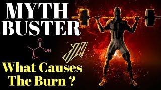 MYTHBUSTERS 1 What Causes That Muscle Burn Feeling [upl. by Lleraj]