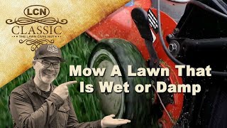 How To Mow A Lawn That Is Wet or Damp [upl. by Kcirtap]