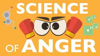 THE SCIENCE OF ANGER [upl. by Legra]