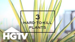 3 HardtoKill Plants for Beginning Gardeners  Gardening Tips  HGTV [upl. by Htebazila813]