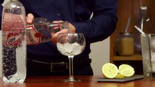 Cocktail Gin – Comment faire un Gin Tonic [upl. by Irrehc]