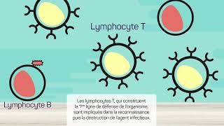 Le système immunitaire [upl. by Suzette]