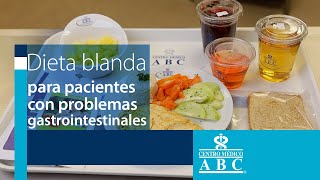 Dieta blanda para pacientes con problemas gastrointestinales [upl. by Ahsinyt852]