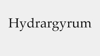 How to Pronounce Hydrargyrum [upl. by Larine648]