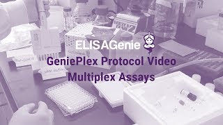 GeniePlex Multiplex Assay Protocol  Assay Genie [upl. by Dwyer]