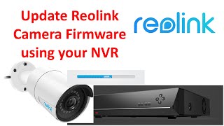 Upgrade Reolink Camera Firmware via NVR [upl. by Eeliram285]