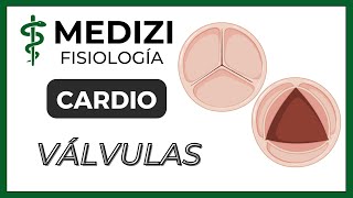 Clase 18 Fisiología Cardíaca 3  Función de las válvulas IGdoctorpaiva [upl. by Annauqal]