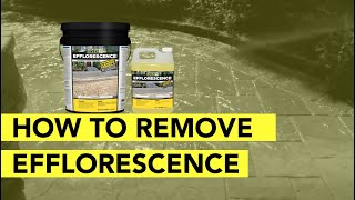 How To Remove Efflorescence From Pavers In 4 Simple Steps [upl. by Teddy]