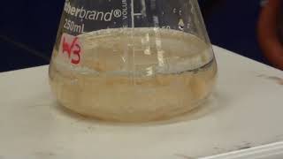 Synthesis of Acetanilide [upl. by Eceined235]