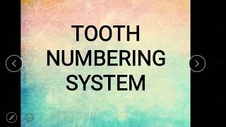 Tooth numbering system [upl. by Lexi]