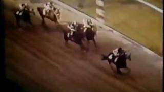 Secretariat  Preakness Stakes 1973 [upl. by Ardiedak]