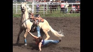 Barrel Racing series 5 from McHenry County Saddle Club [upl. by Eveam]