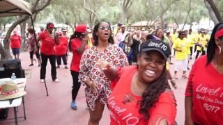 Jump Off Line Dance  Verlositys Annual Picnic in the Park San Diego CA [upl. by Aihseit]