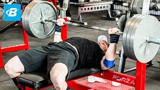 How To Bench Press Layne Nortons Complete Guide [upl. by Averi]