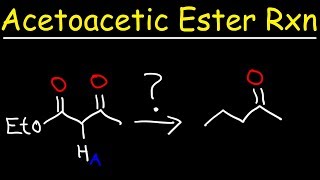 Acetoacetic Ester Synthesis Reaction Mechanism [upl. by Ferdinana479]