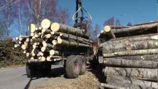 Horse logging Sweden [upl. by Intyre733]