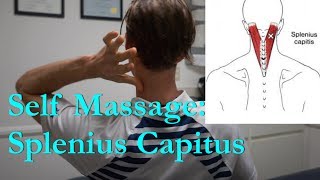 Self Massage Splenius Capitus back of neck [upl. by Rex]