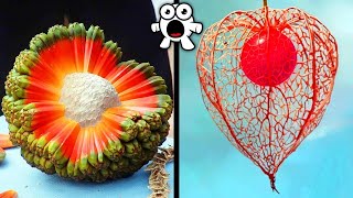 CRAZY Fruits You’ve Never Heard Of [upl. by Aileduab916]