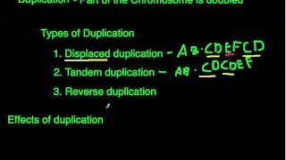 Phonetics amp Phonology Segmental VS Suprasegmental [upl. by Ilah]