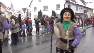 Narrentreffen Nendingen am 01022015 [upl. by Vernen]