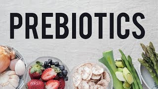 Prebiotics  Food for your Microbiome [upl. by Muldon]