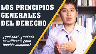 LOS PRINCIPIOS GENERALES DEL DERECHO  Introducción al Derecho  7 [upl. by Aynik]