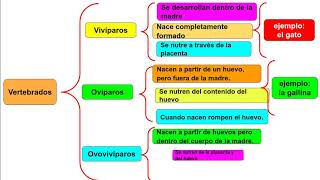 ESQUEMA DE LLAVES [upl. by Nollid]