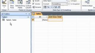 01 Creating a Flatfile Database [upl. by Perl308]