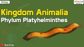 Kingdom Animalia Phylum Platyhelminthes  Biology  iKen  iKenEdu  iKenApp [upl. by Hyo]