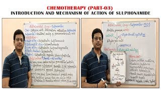 Chemotherapy of Antibiotics Part03 Sulfonamide Introduction amp Mechanism of Action  Antibiotic [upl. by Conchita]