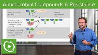 Antimicrobial Compounds amp Resistance – Microbiology  Lecturio [upl. by Karry]