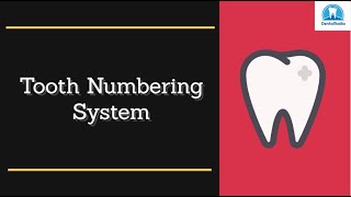 How To Learn Tooth Numbering System Tips and Tricks [upl. by Uliram]