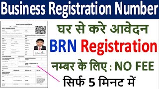 Business Registration Number Form Online Apply ¦ BRN No कैसे मिलेगा ¦ Rajasthan BRN Form Kaise Bhare [upl. by Wrdna935]