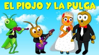 El piojo y la pulga  Canción Infantil en Español [upl. by Inait]