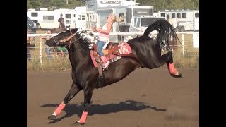 Barrel Racing series 3 from McHenry County Saddle Club [upl. by Nomed667]