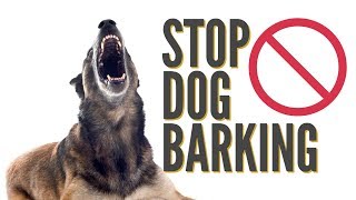 How To Quickly Stop Dog Barking [upl. by Zosi]