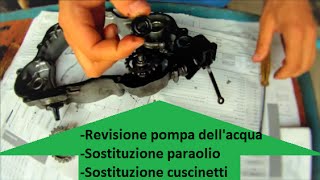 Videotutorial  Come revisionare la pompa dellacqua [upl. by Sheffield76]