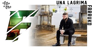 Farruko  Una Lágrima Audio [upl. by Feerahs]