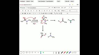 Amide Hydrolysis in Base [upl. by Issac693]