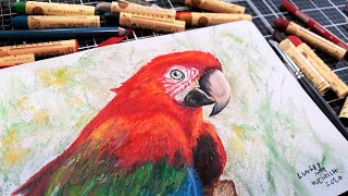 Using Fancy Sennelier Oil Pastels for the First Time [upl. by Zinn]