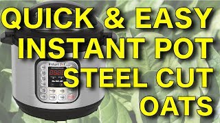 Instant Pot Quick amp Easy Steel Cut Oats  Recipe And Technique [upl. by Finstad]