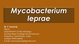 Mycobacterium leprae [upl. by Dennis]