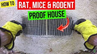 How To Protect your Home from Rats Mice amp Rodents Jonny DIY [upl. by Eldreda943]