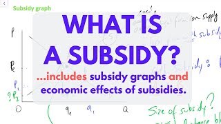 What is a SUBSIDY Subsidies EXPLAINED [upl. by Armilla]