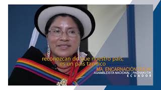 Diversidad étnica y cultural en América Latina [upl. by Anaihs]