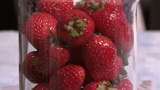 How to extract DNA from strawberries [upl. by Chi]