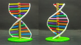 School Science Projects  DNA Model [upl. by Nefen]